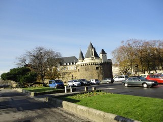 DSC00815.jpg