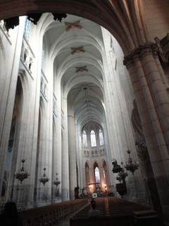 DSC00848.jpg